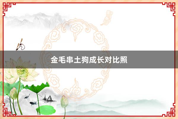金毛串土狗成长对比照